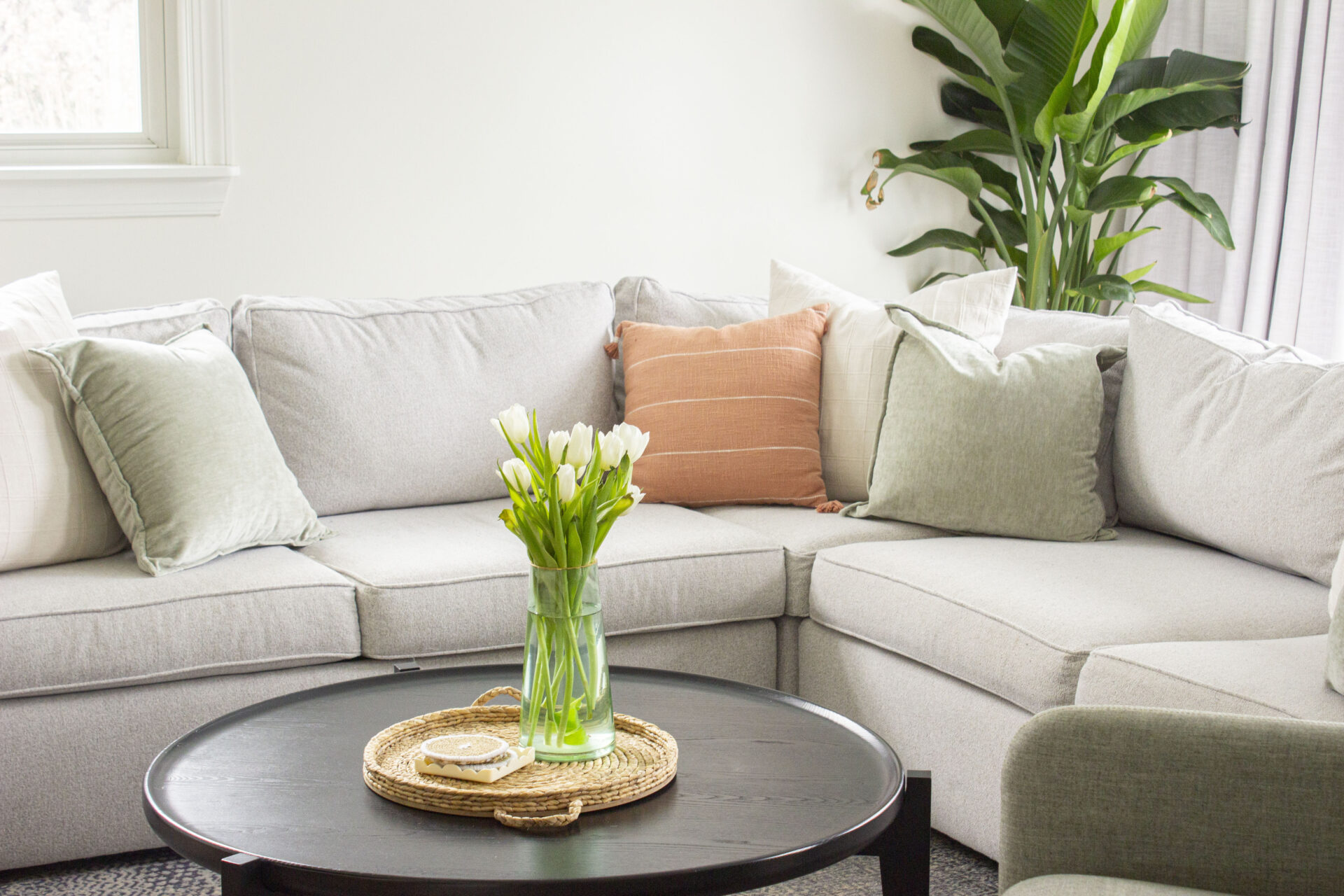 Hello and Welcome to our Summer Newsletter